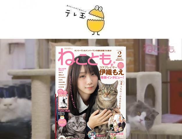 64af52fd7b43f10.37444589